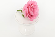 Roses and Hearts Stock Photo Bundle, a Photo by Hudson Lark Studio (Thumbnail 9 of 17)