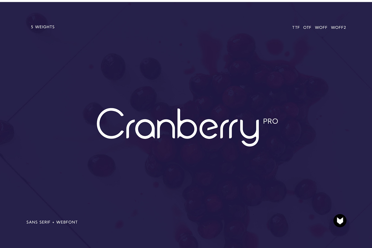 Cranberry Display Typeface, a Font by Foxtype (Photo 1 of 8)