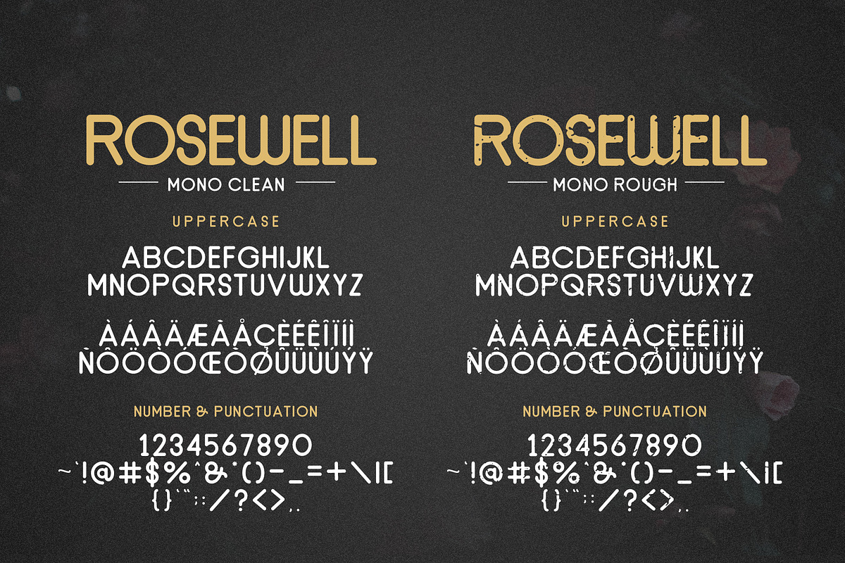 Rosewell Font Collection, a Script Font by Ardyanatypes (Photo 10 of 11)