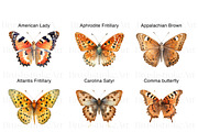 Watercolor Butterfly Species Clipart, an Animal Illustration by BrushstrokeArtGB (Thumbnail 2 of 9)
