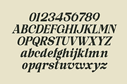 Glide Orwate-Elegant Editorial Serif, a Serif Font by MaikoHatta (Thumbnail 7 of 7)