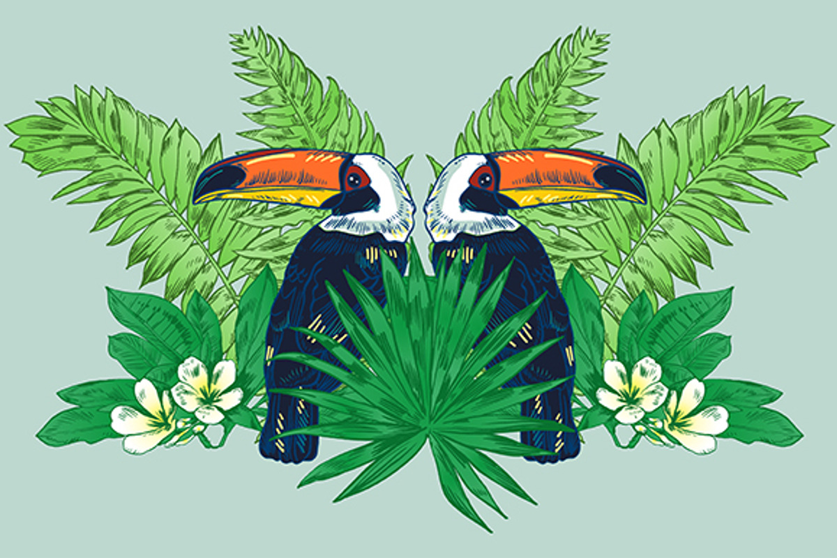 TOUCAN, an Animal Illustration by Tanya Akhmett (Photo 6 of 11)