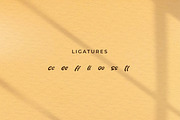 Whooffely, a Script Font by Integritype Studio (Thumbnail 11 of 15)