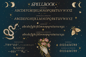 Spellbook. Whimsy Fairy Font