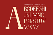 Robay – Elegant Luxury Serif Font, a Serif Font by Illushvara Design (Thumbnail 8 of 10)