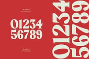 Rakuy Magist Modern Retro Serif, a Serif Font by timelesstype.co (Thumbnail 8 of 20)