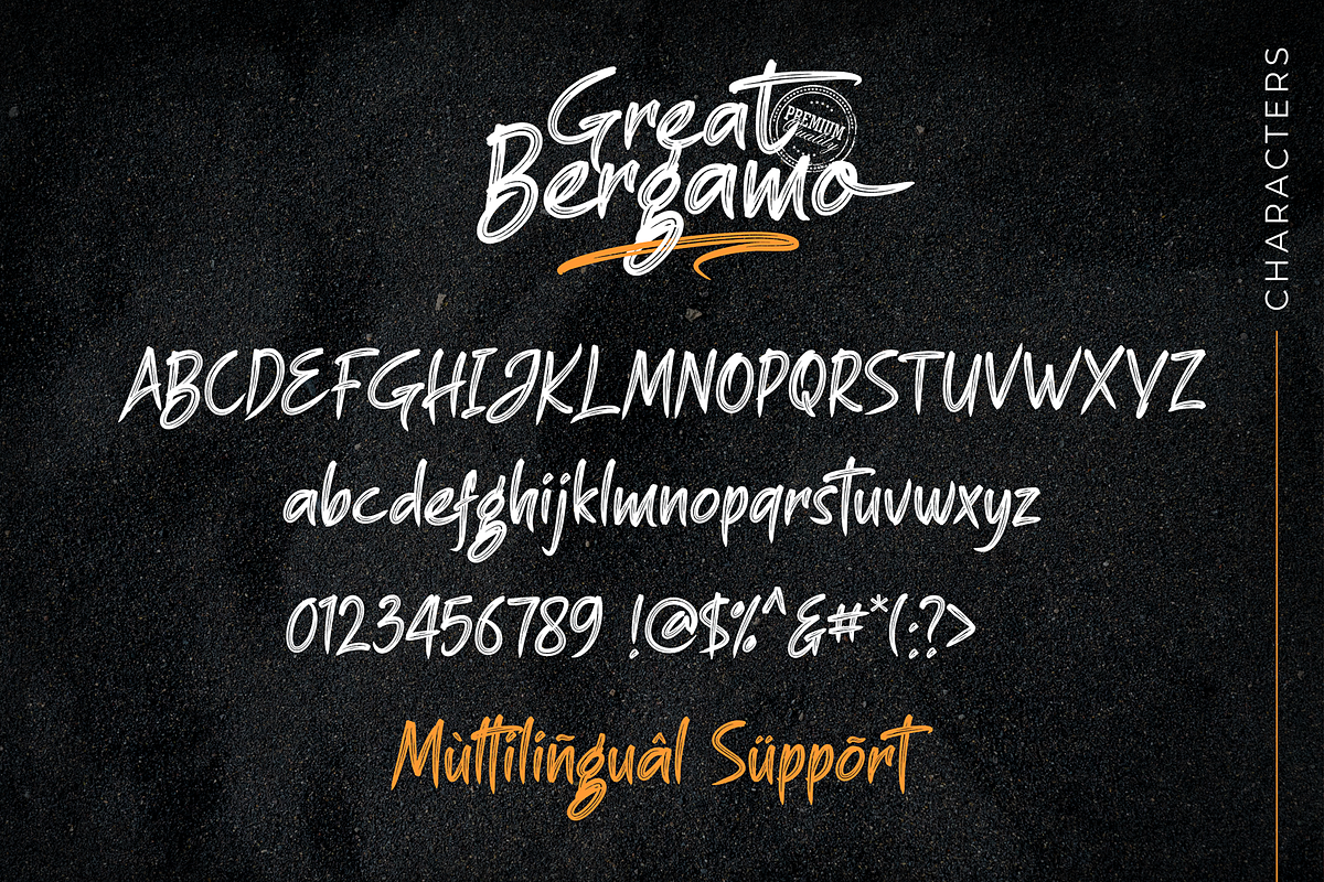 Great Bergamo, a Font by figuree studio (Photo 4 of 8)