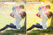 Spring Presets - Lightroom Presets, an Action Add-On by Lensgrade.com (Thumbnail 10 of 15)