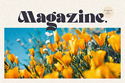 Vegetal Serif Font, a Serif Font by Typegoals Studio (Thumbnail 4 of 8)