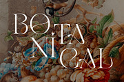 The Modern Typography Bundle, a Serif Font by Ivan Rosenberg (Thumbnail 58 of 58)