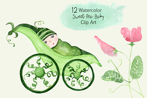 12 Watercolor Sweet Pea Baby ClipArt