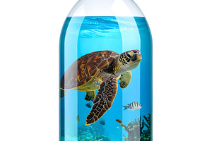 Sea turtle trapped inside plastic water bottle container, a Nature Photo by GoodGoods