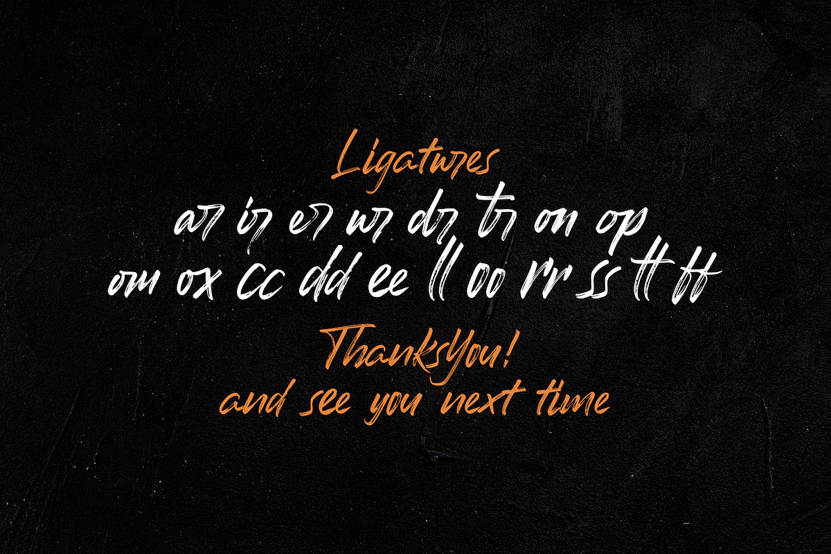 Romantika Hidup - Brush Script Font, a Script Font by StringLabs (Photo 10 of 10)