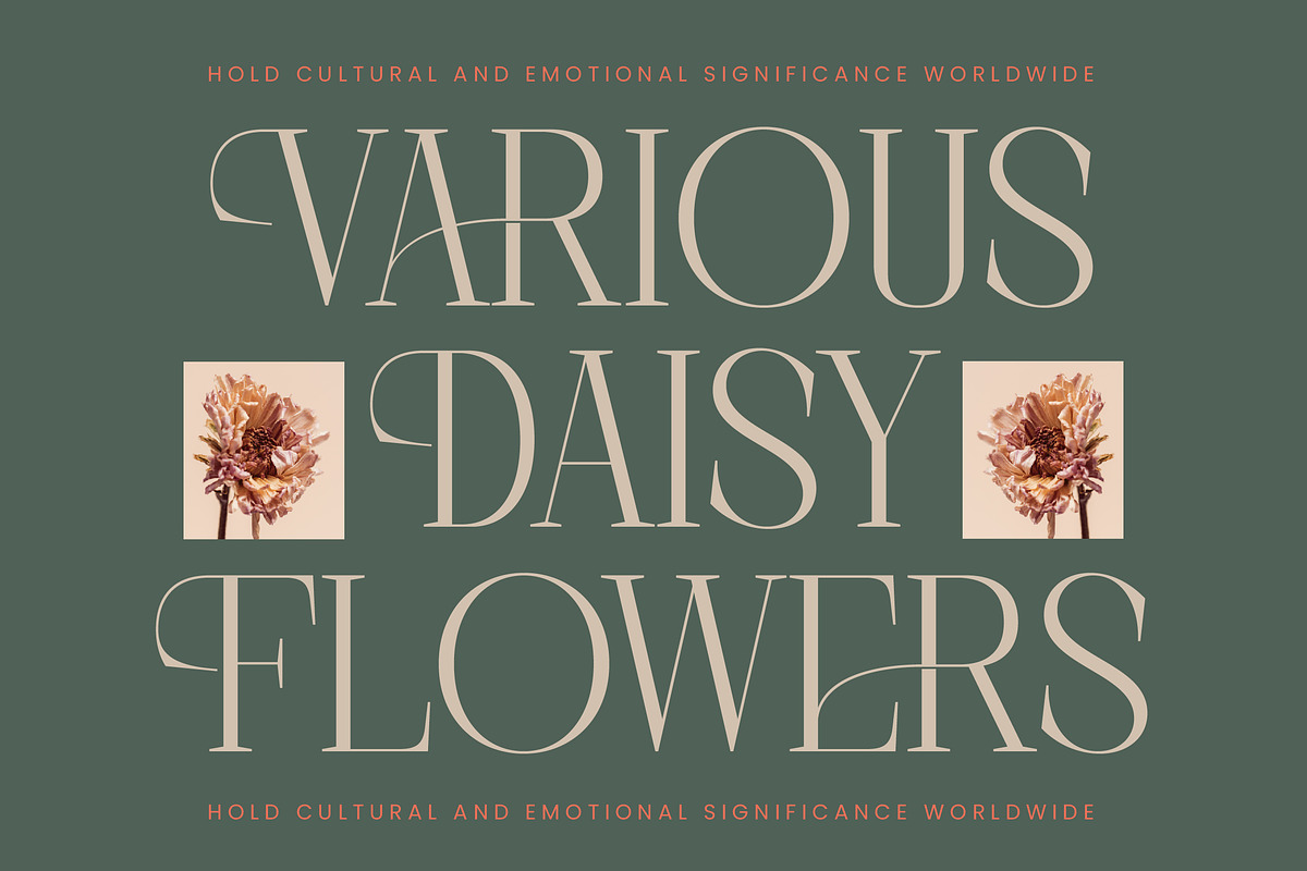 Barely Painter Elegant Serif Font, a Serif Font by timelesstype.co (Photo 9 of 20)