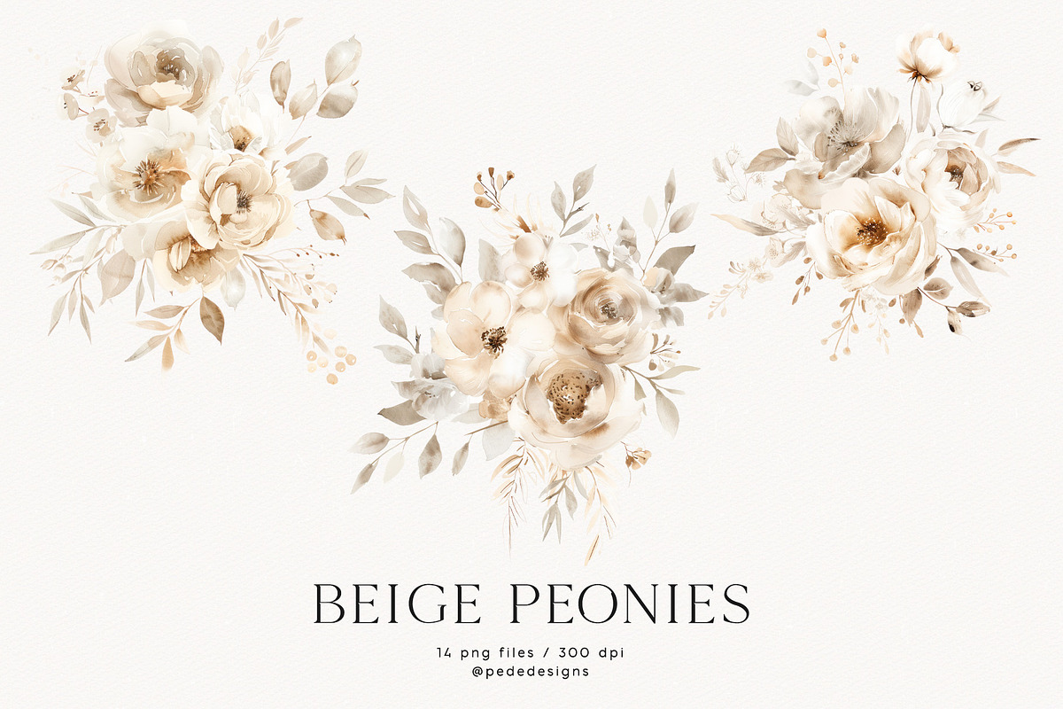 Beige Peonies, a Decorative Illustration by PeDe Designs (Photo 6 of 9)