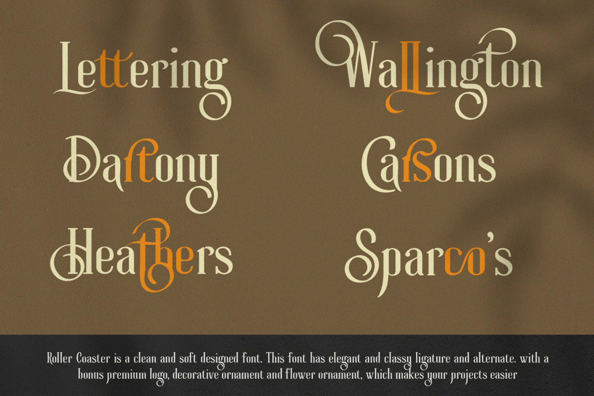 Roller Coaster Serif (Bonus) preview 5