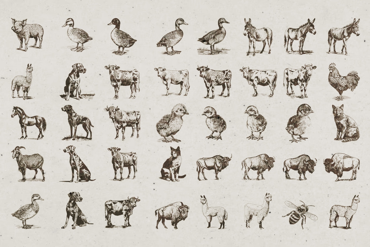 Farm Animals Illustrations, an Animal Illustration by Nocturnal Wolf (Photo 12 of 14)