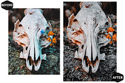 12 Day of the Dead Photoshop Actions, an Action Add-On by Hue Palettte Studio (Thumbnail 7 of 10)
