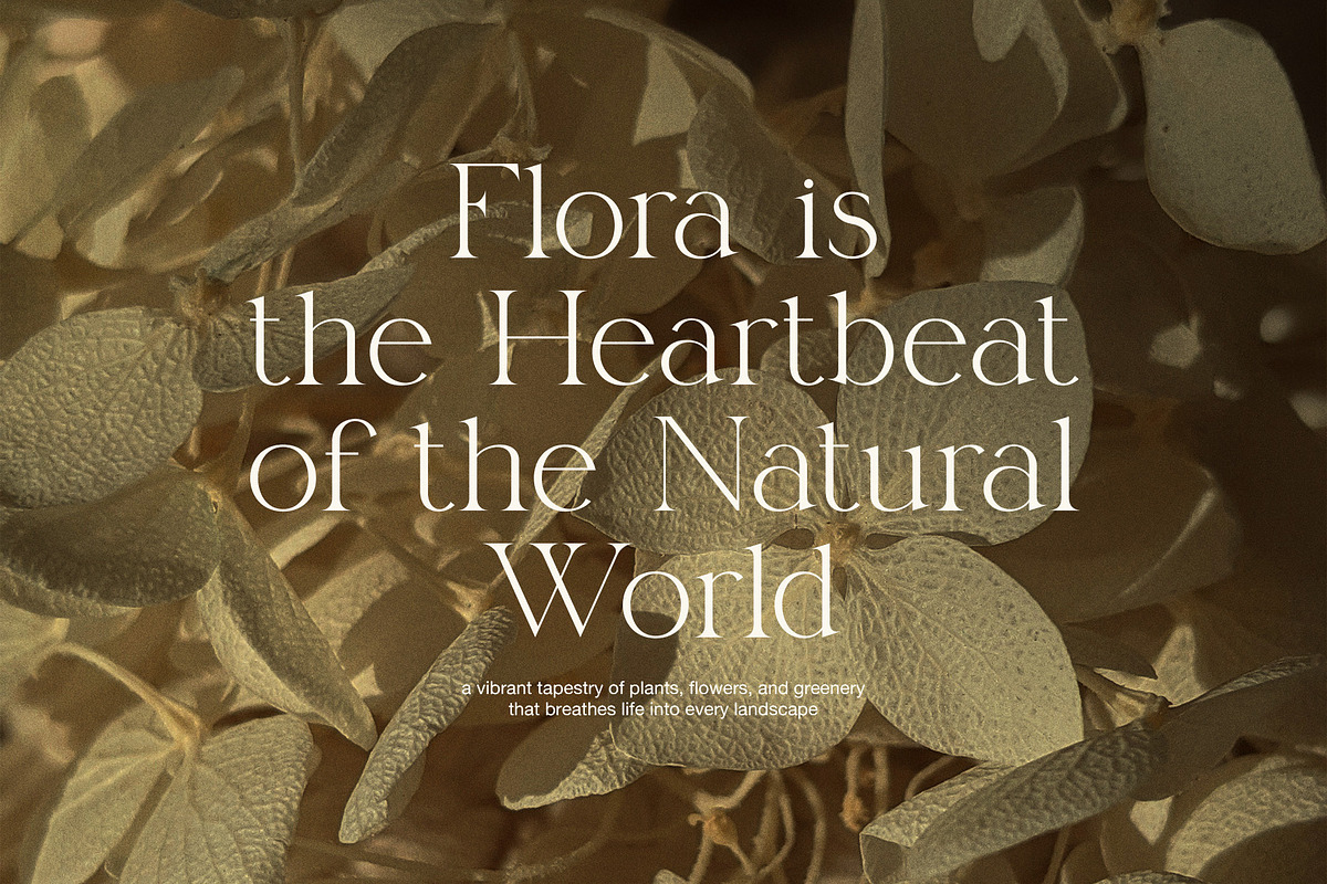 Rimak Elegant Serif Font, a Serif Font by Elegant Font (Photo 5 of 8)