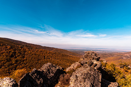 Beech forest and mountain in autumn containing footpath, pedrosa, and riaza, a Nature Photo by Architect´s eye
