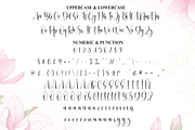 Dearly | Script Font, a Handwritten Font by Scratchones (Thumbnail 7 of 9)