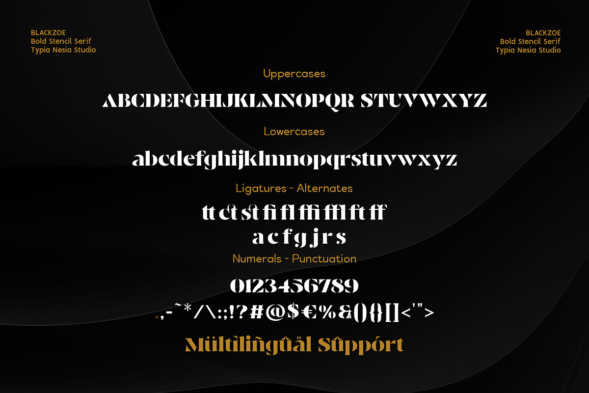 Blackzoe Stencil Serif, a Serif Font by Typia Nesia (Photo 10 of 10)