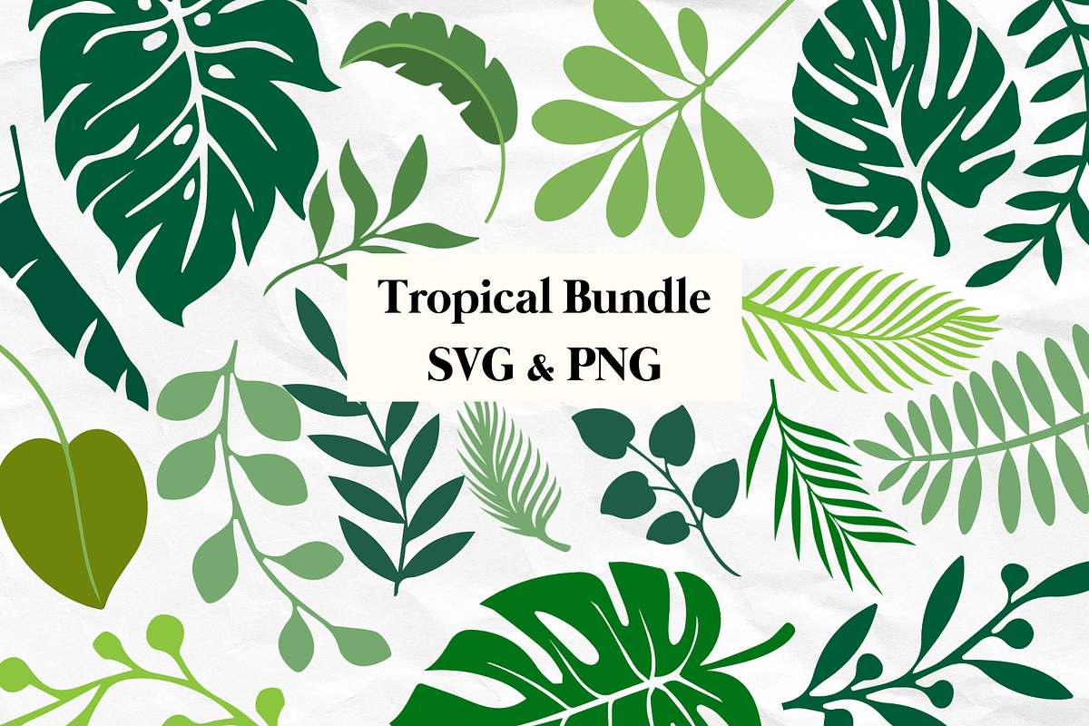 Tropical Leaves Bundle SVG PNG, an Object Graphic by Createble (Photo 1 of 6)