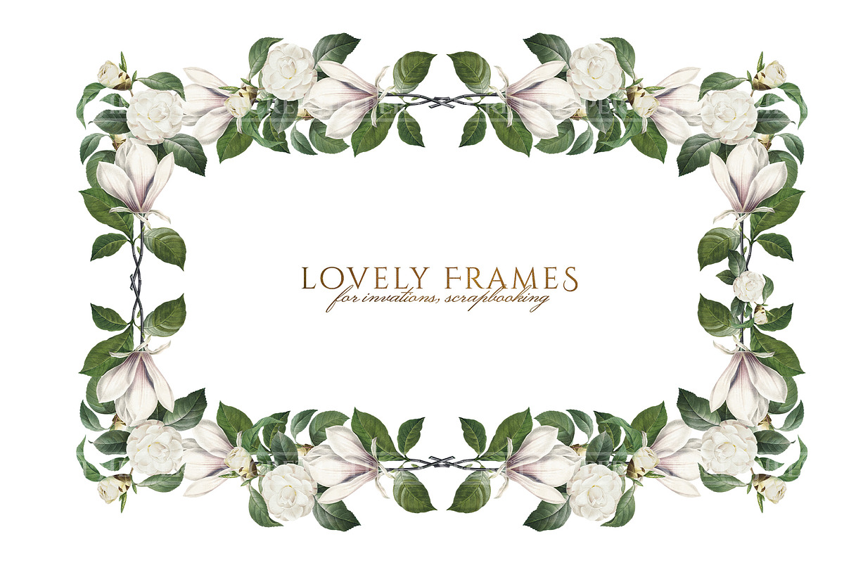 White Floral Clipart, Wreath, Frames, an Illustration by Secret Helper (Photo 5 of 9)