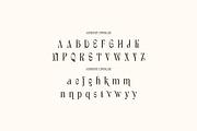 Valerie Howard Creative Serif, a Serif Font by Cruzine (Thumbnail 5 of 7)