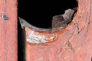 Alphabet Photography Letter P, an Abstract Photo by Artistic Letters (Thumbnail 4 of 7)