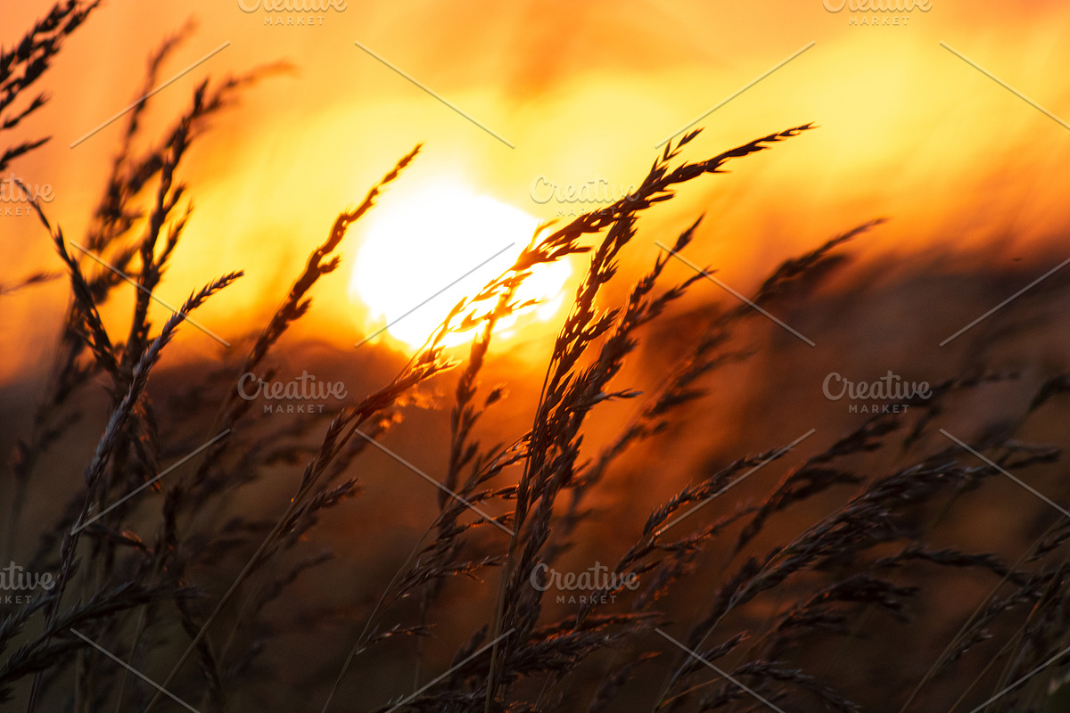 Cropfield sunset Bundle, a Nature Photo by Photo shack (Photo 1 of 6)