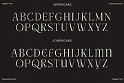 CHEVALIER Modern Luxury Typeface, a Serif Font by Comactype Foundry (Thumbnail 9 of 13)