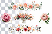 15 Ranunculus Watercolor Cliparts, a Decorative Illustration by Loony Dream Designs (Thumbnail 4 of 5)