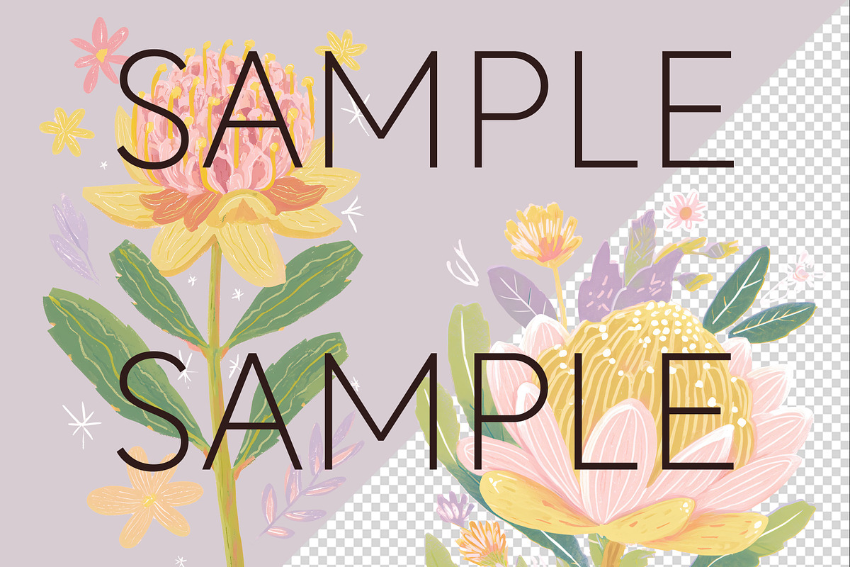 Pastel Australian Flowers Clipart, a Decorative Illustration by Pawcasso's Portraits (Photo 7 of 10)