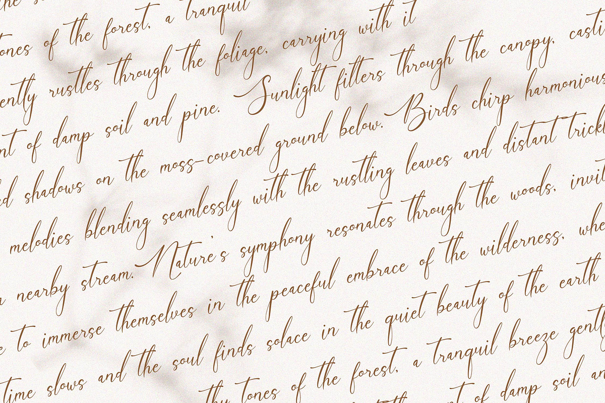 Funittey – Classy Script, a Script Font by gracetype_studio (Photo 9 of 13)