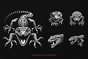 10 Bundle Dark Art Death Gecko Anger, an Illustration by Morspective (Thumbnail 5 of 7)