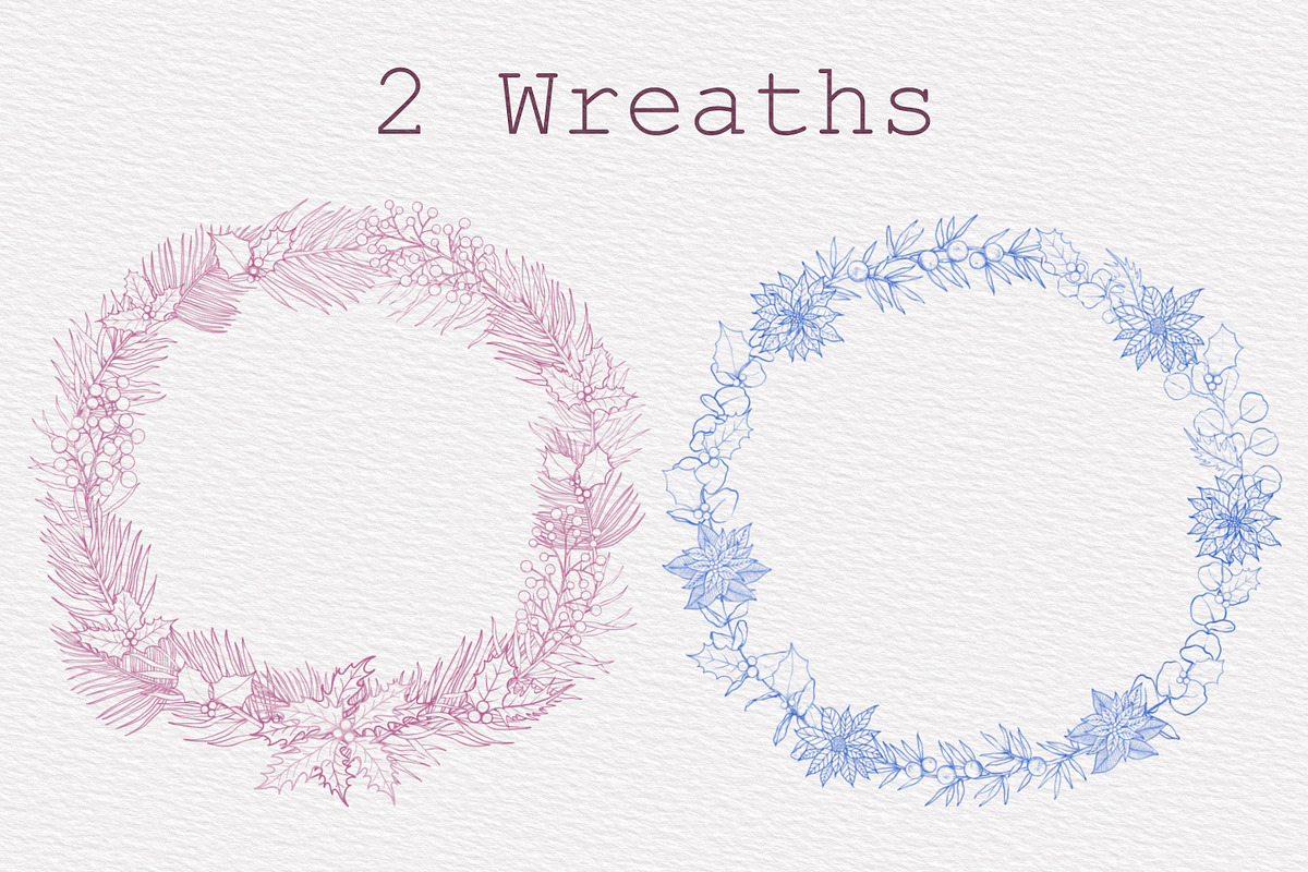 Winter & Christmas Plants,Procreate, a Brush Add-On by Sense Library (Photo 6 of 11)