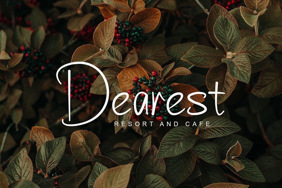 Bordnest, a Handwritten Font by Fernande (Photo 5 of 6)