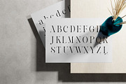 Reichamerina font family, a Serif Font by Ryul Davidson (Thumbnail 8 of 27)