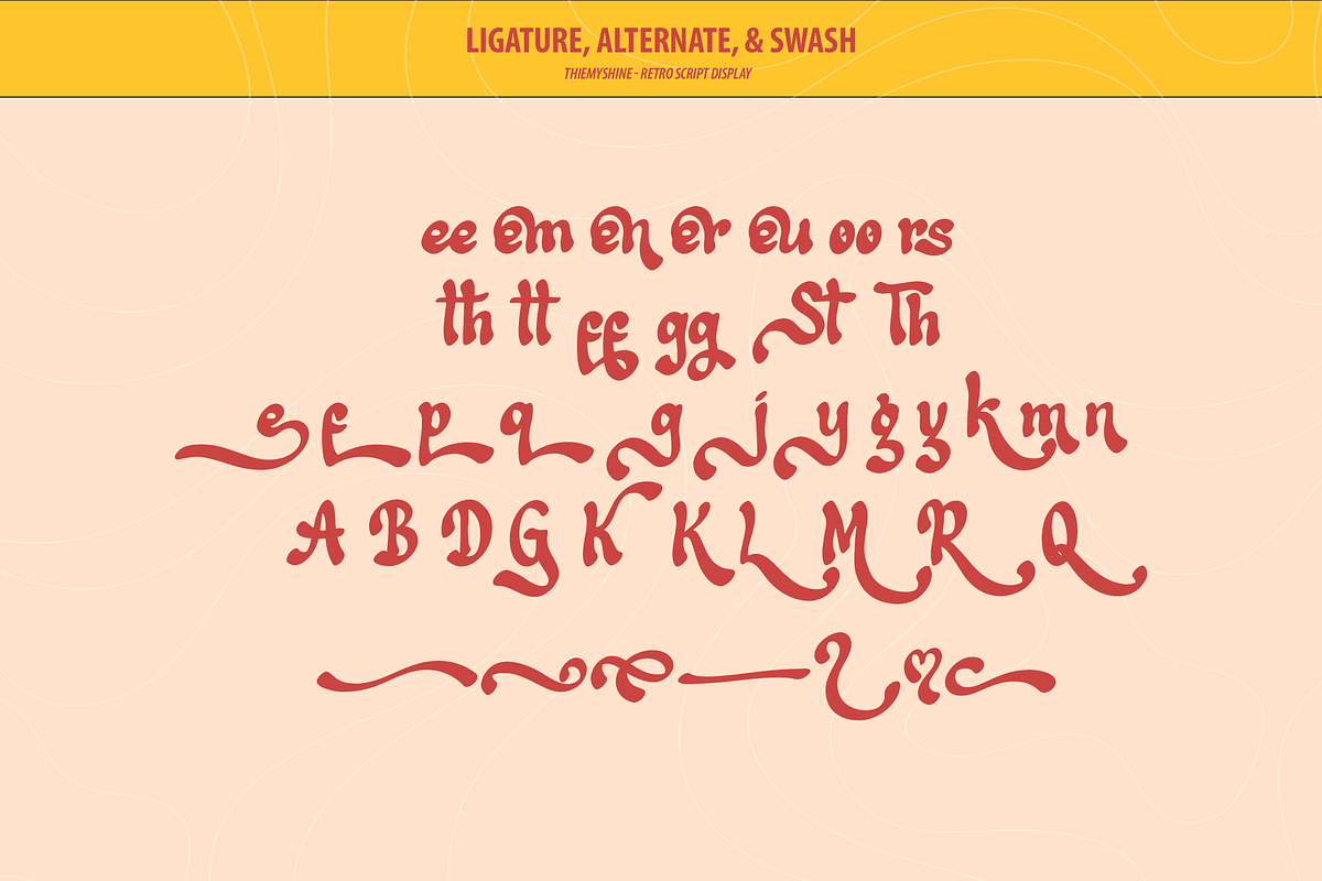 Thiemyshine | Retro Script Display, a Font by Denustudios (Photo 15 of 15)