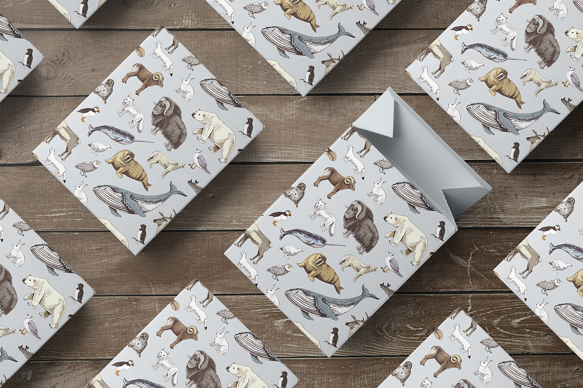 Hand drawn Arctic animals collection, an Animal Illustration by handsketched (Photo 4 of 10)