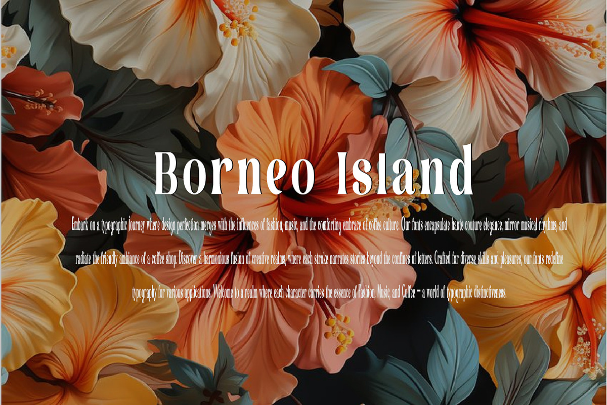 The Forza Bundle font sanserif, a Sans Serif Font by ForzaType (Photo 12 of 13)