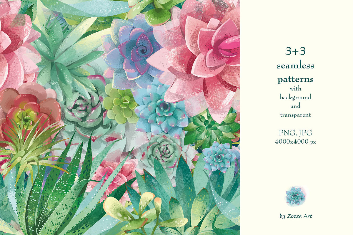 Succulents: 12 images, 6 patterns, an Illustration by Zooza Art (Photo 5 of 9)