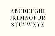 Metropolitan Parliament Family Serif, a Serif Font by UICreative (Thumbnail 5 of 13)