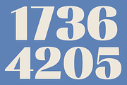 Rachstela Font Family - 14 Styles!, a Sans Serif Font by Martype (Thumbnail 14 of 15)