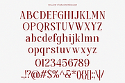 Willow Starlion - Elegant Serif Font, a Serif Font by Say Studio (Thumbnail 9 of 10)