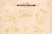 Witches Familiars, an Animal Illustration by Ink Stories (Thumbnail 24 of 44)