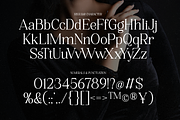 Karlina Modern Elegant, a Serif Font by Haps Space (Thumbnail 8 of 10)