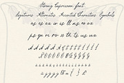 Strong Capricorn Vintage Script Font, a Script Font by LABFcreations (Thumbnail 10 of 15)