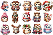 Cute Little Owl Clipart Sublimation, an Illustration by Designworld (Thumbnail 2 of 5)